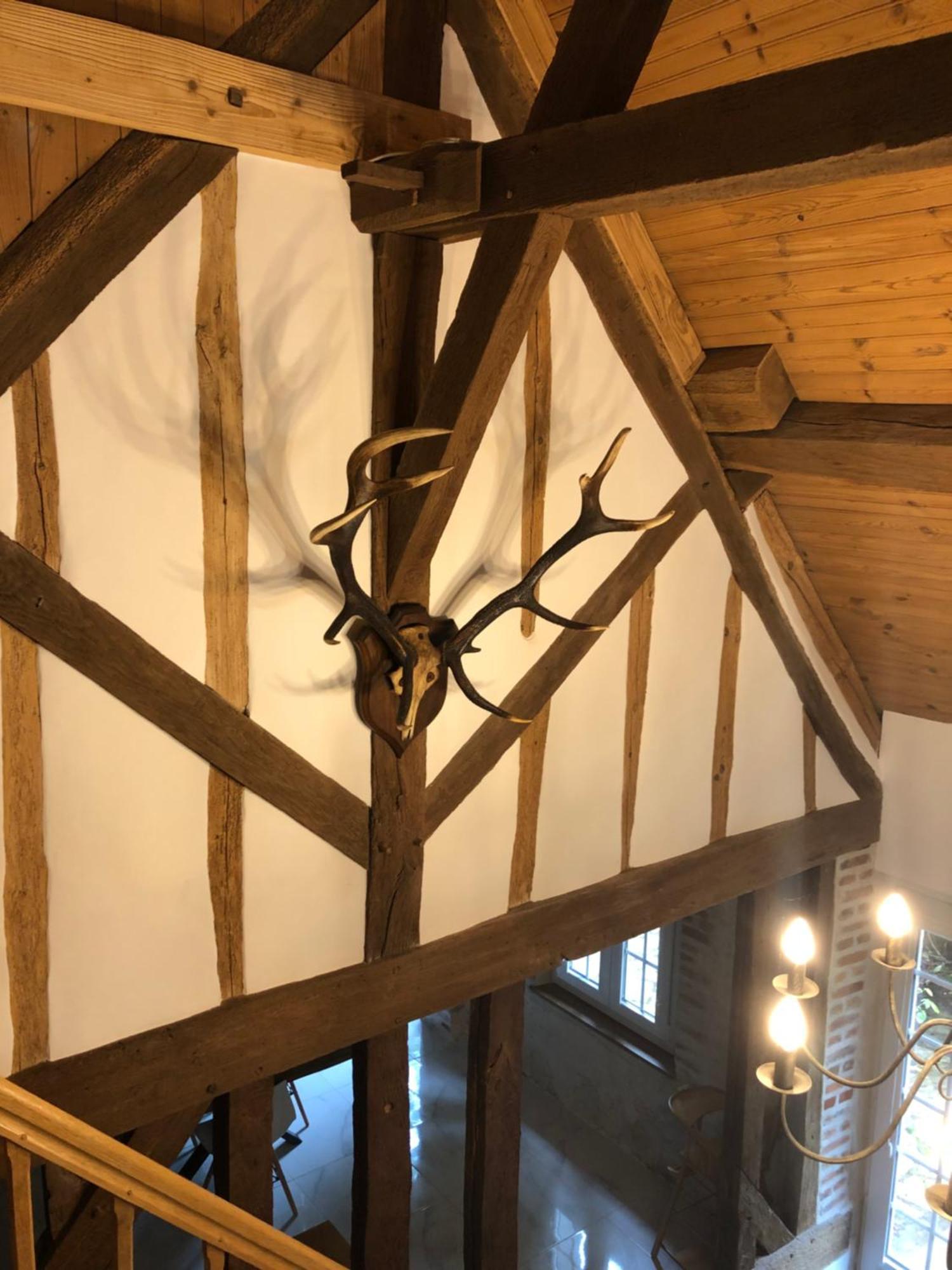 Gîte les cerfs Bracieux Extérieur photo